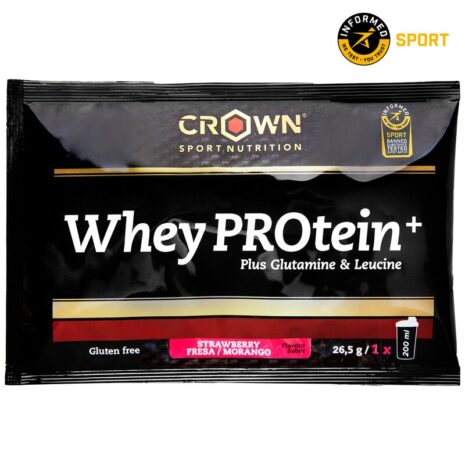 PROTEÍNA DE SUERO DE LECHE – WHEY PROTEIN+